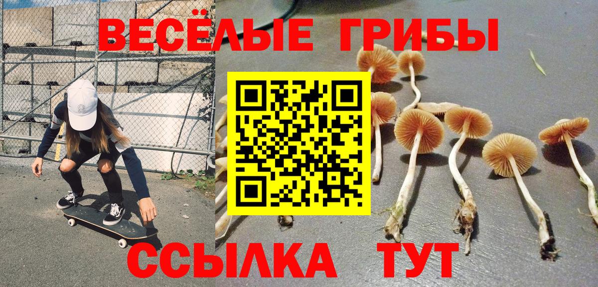 Похвистнево  Псилоцибиновые грибы Cubensis  Вход с VPN 