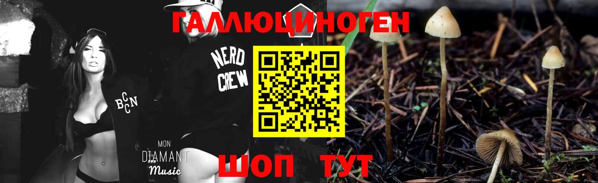 Псилоцибиновые грибы MAGIC MUSHROOMS Похвистнево